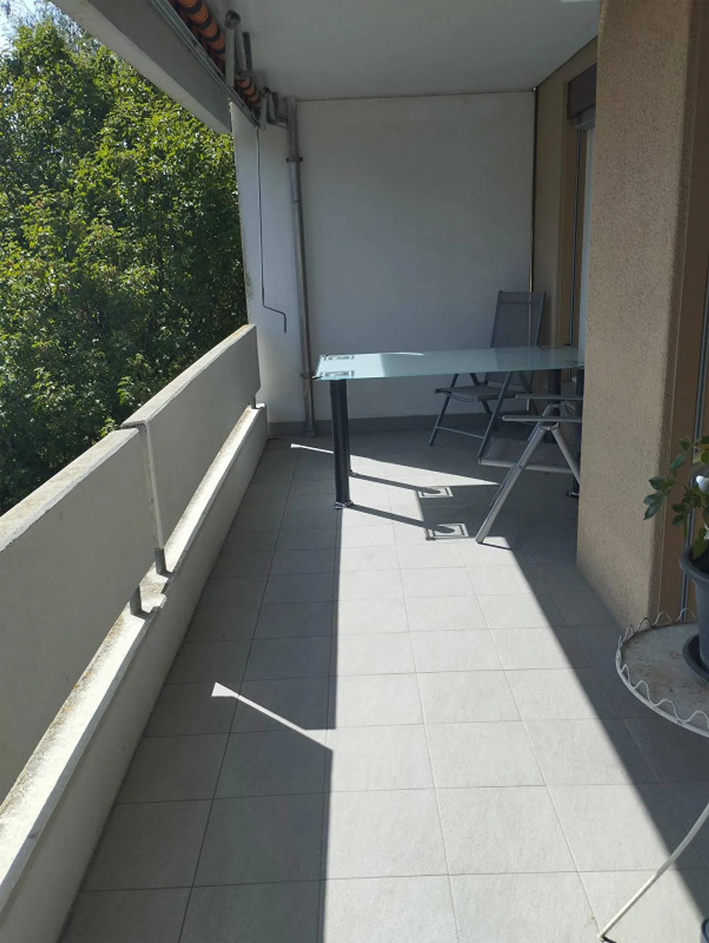 3 1/2 Room Apartment with Large Balcony - Photo 3 of 11