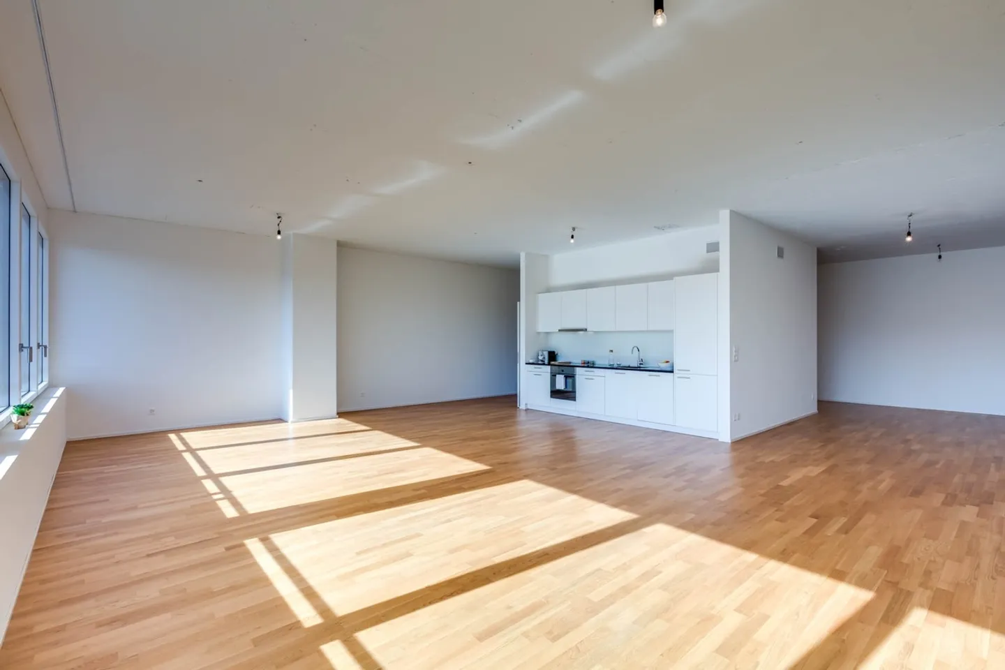 Appartement Loft Spacieux à Münchenstein - Photo 3 sur 4