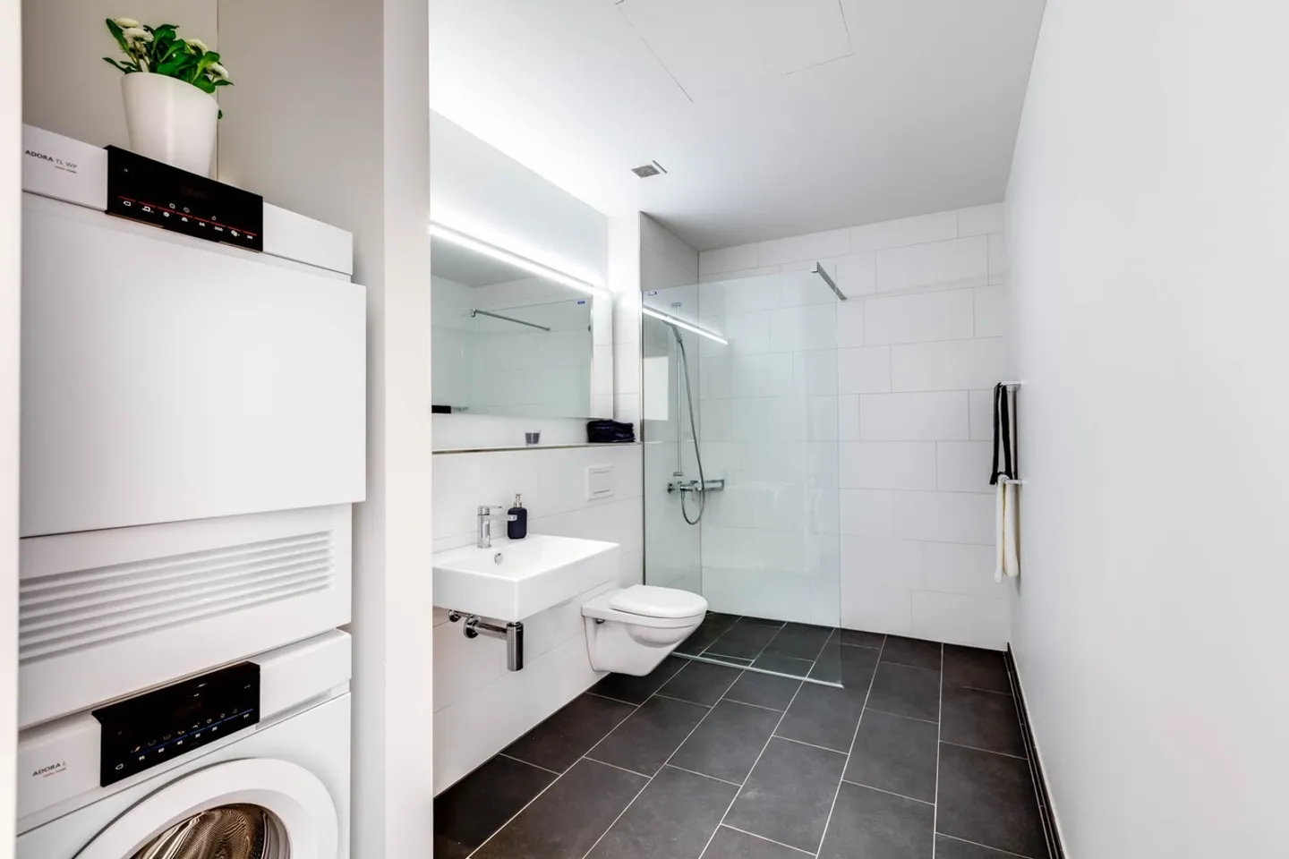 Appartement Loft Spacieux à Münchenstein - Photo 4 sur 4