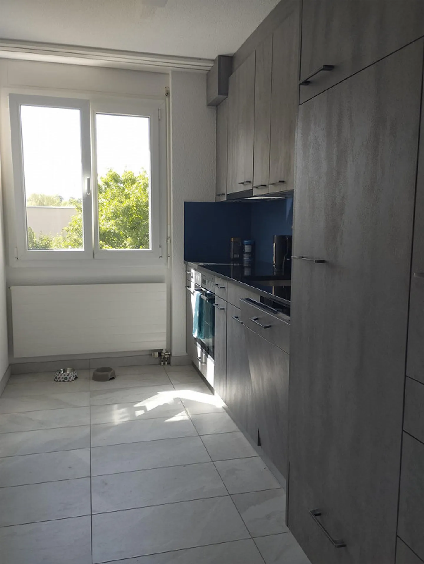 3 1/2 Room Apartment with Large Balcony - Photo 6 of 11