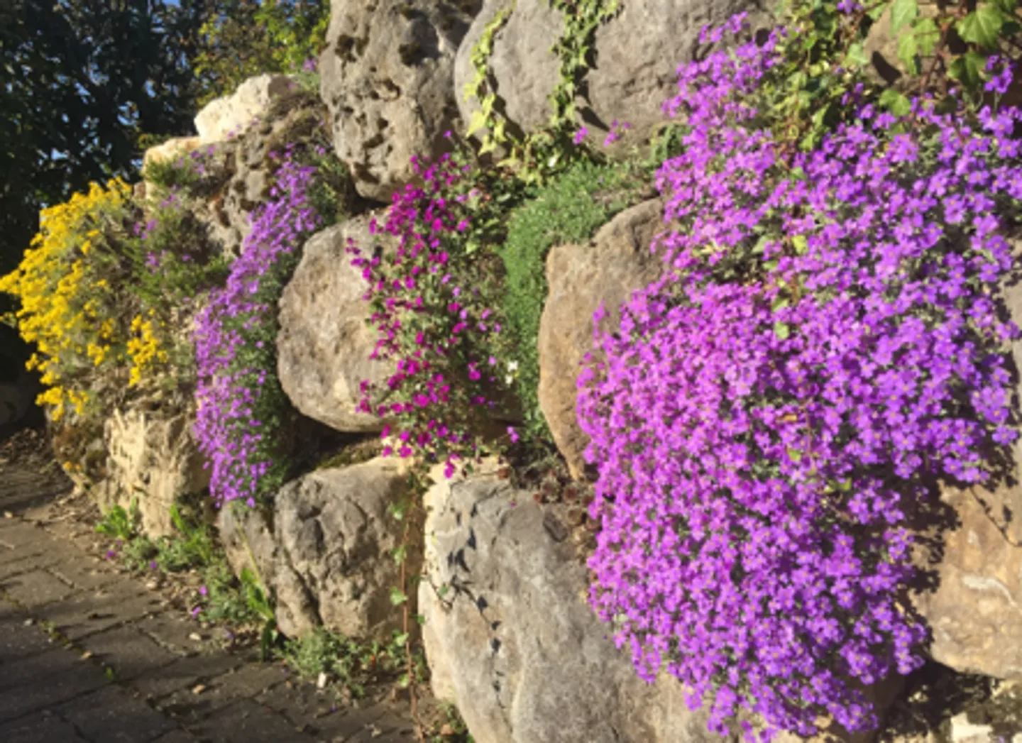 Villa moderna con 7 camere e vista eccezionale ad Arzier-Le Muids - Foto 1 di 9