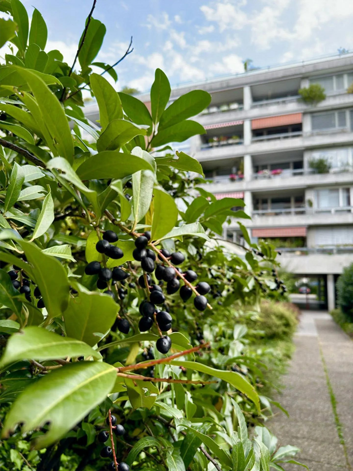 Nuovo appartamento(i) a Breitsch? Recentemente ristrutturato? Dai un'occhiata qui... - Foto 2 di 4