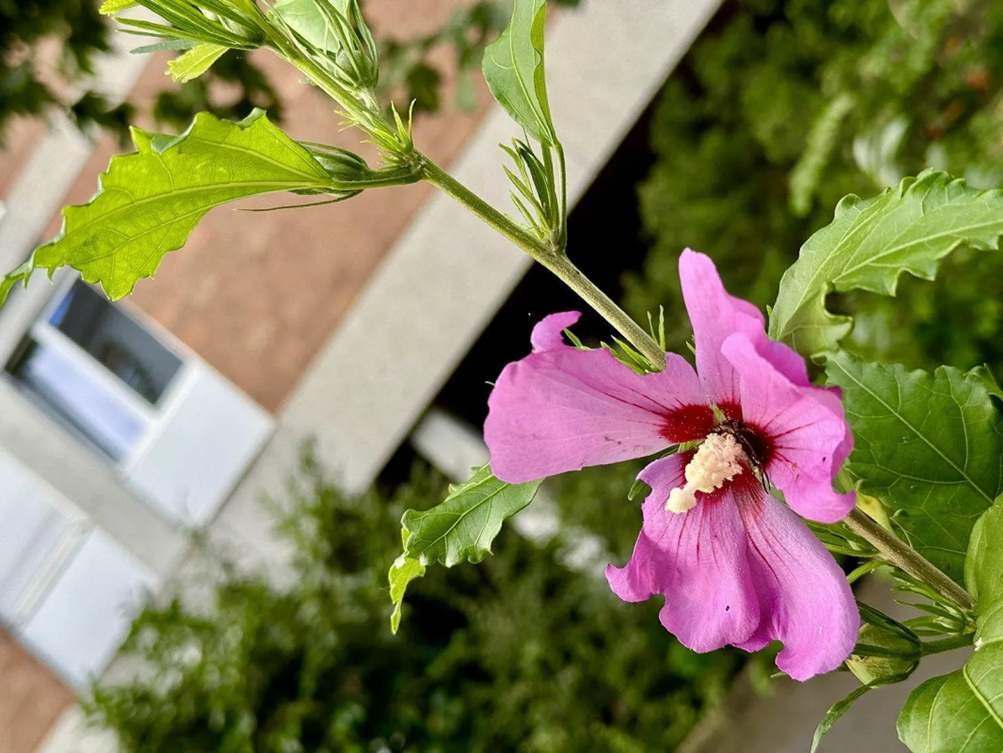 Nuovo appartamento(i) a Breitsch? Recentemente ristrutturato? Dai un'occhiata qui... - Foto 3 di 4