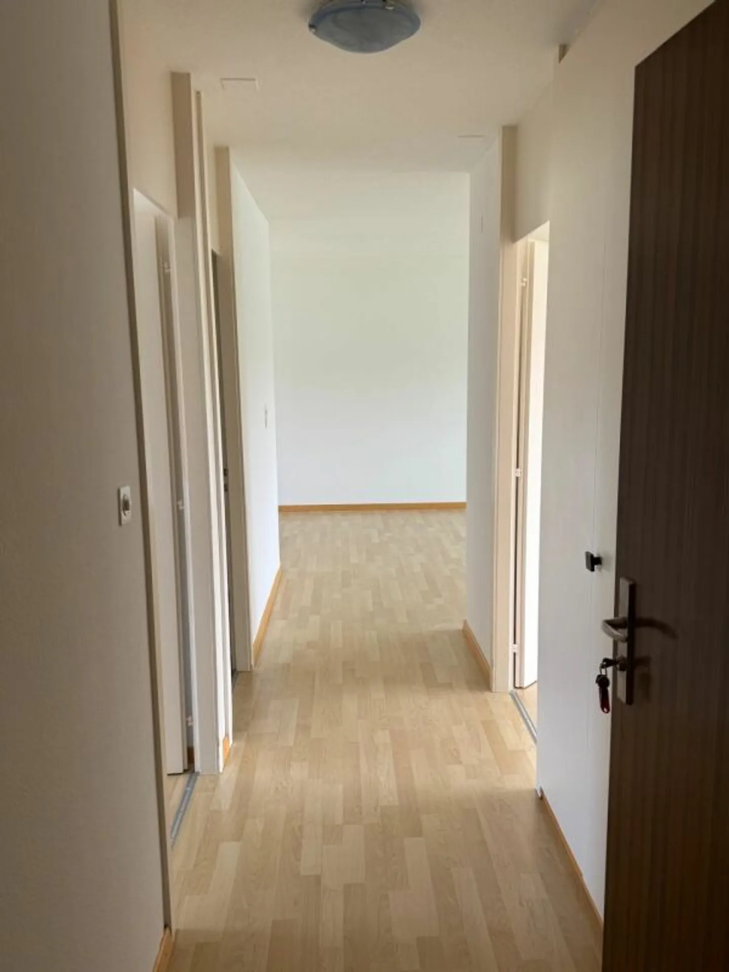 Spazioso appartamento di 3.5 locali con bella vista - Foto 2 di 11