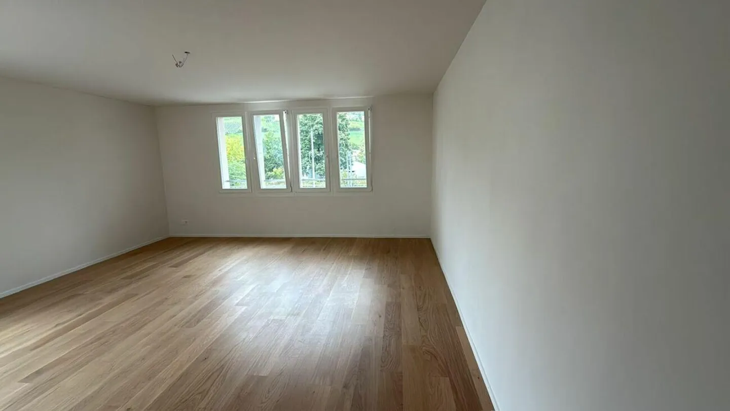 Sustainable Investment in the Heart of Klingnau with 4.2% Gross Yield - Photo 14 of 21