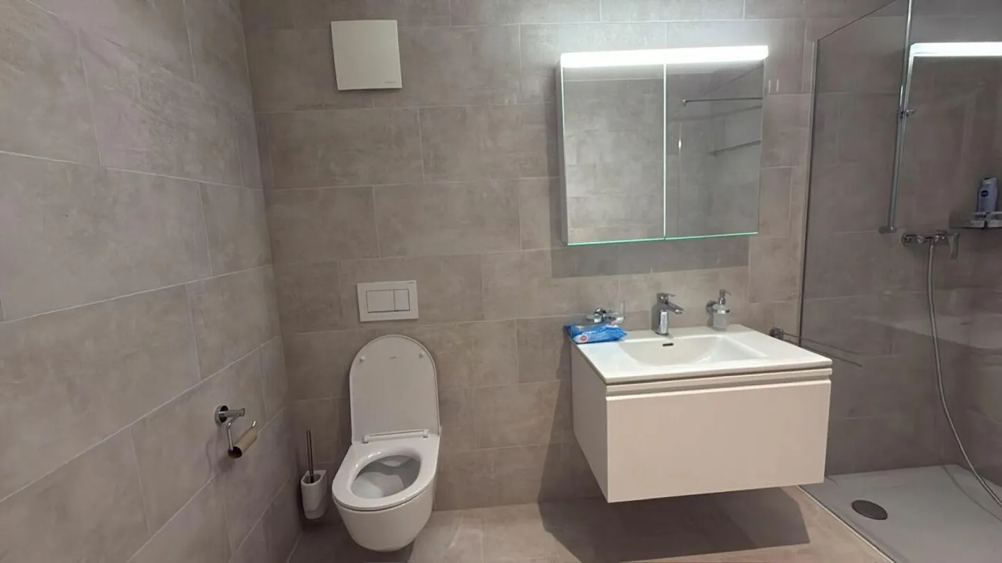 Sustainable Investment in the Heart of Klingnau with 4.2% Gross Yield - Photo 16 of 21