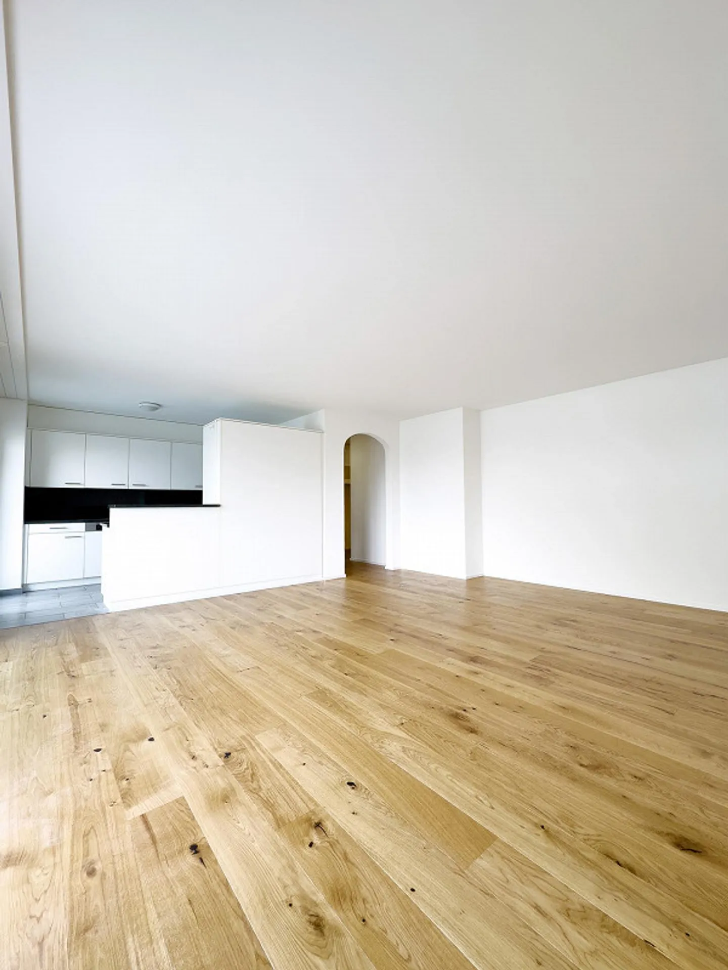 Living in Masans. 3.5-room apartment with balcony and two bathrooms - Photo 2 of 14