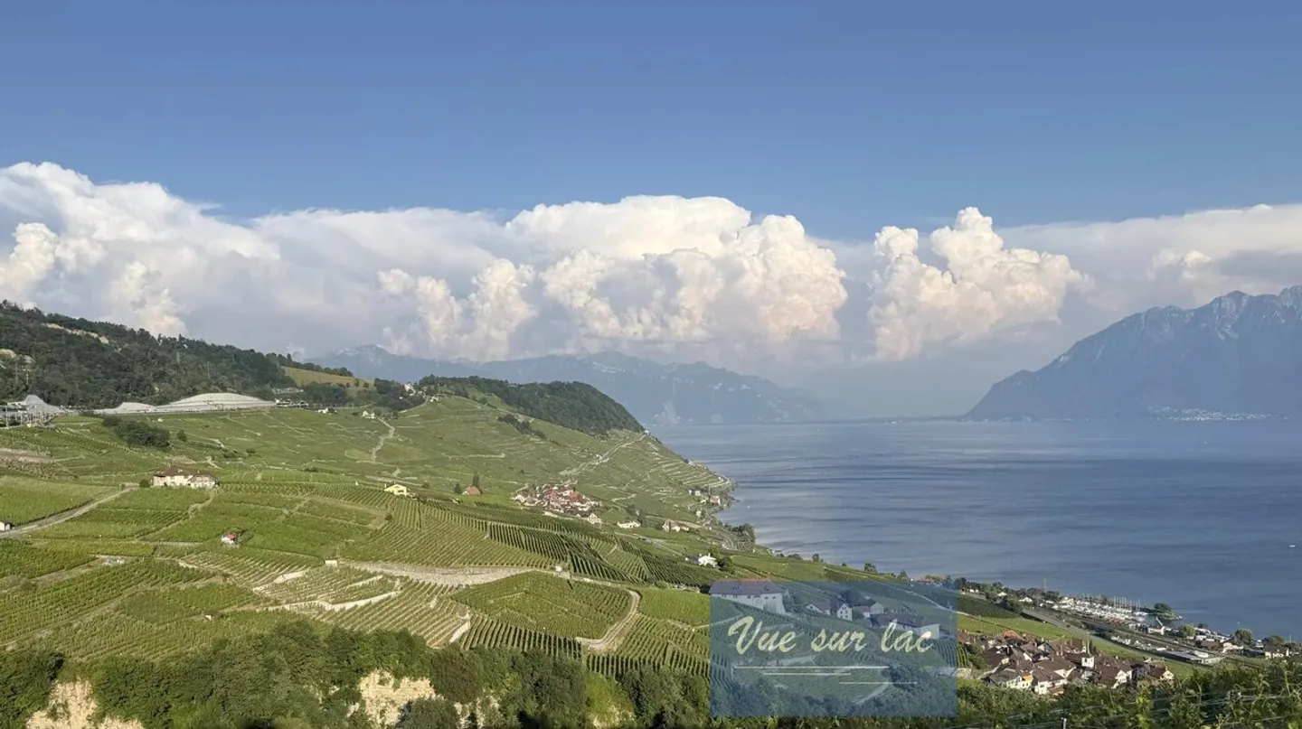 Renovierte Wohnung mit Charakter, atemberaubender Blick in Grandvaux - Foto 13 von 13