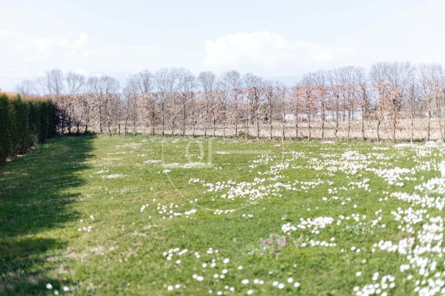 Appartamento tranquillo con ampio giardino privato - Foto 8 di 8