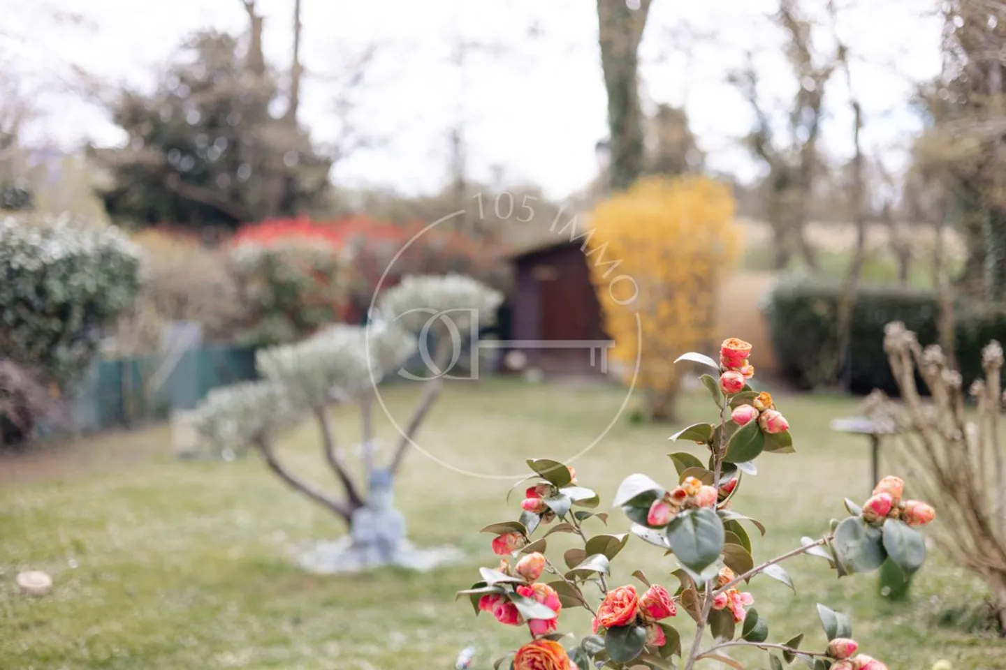 En exclusivité - Charmant appartement avec grand jardin privatif - Photo 3 of 7