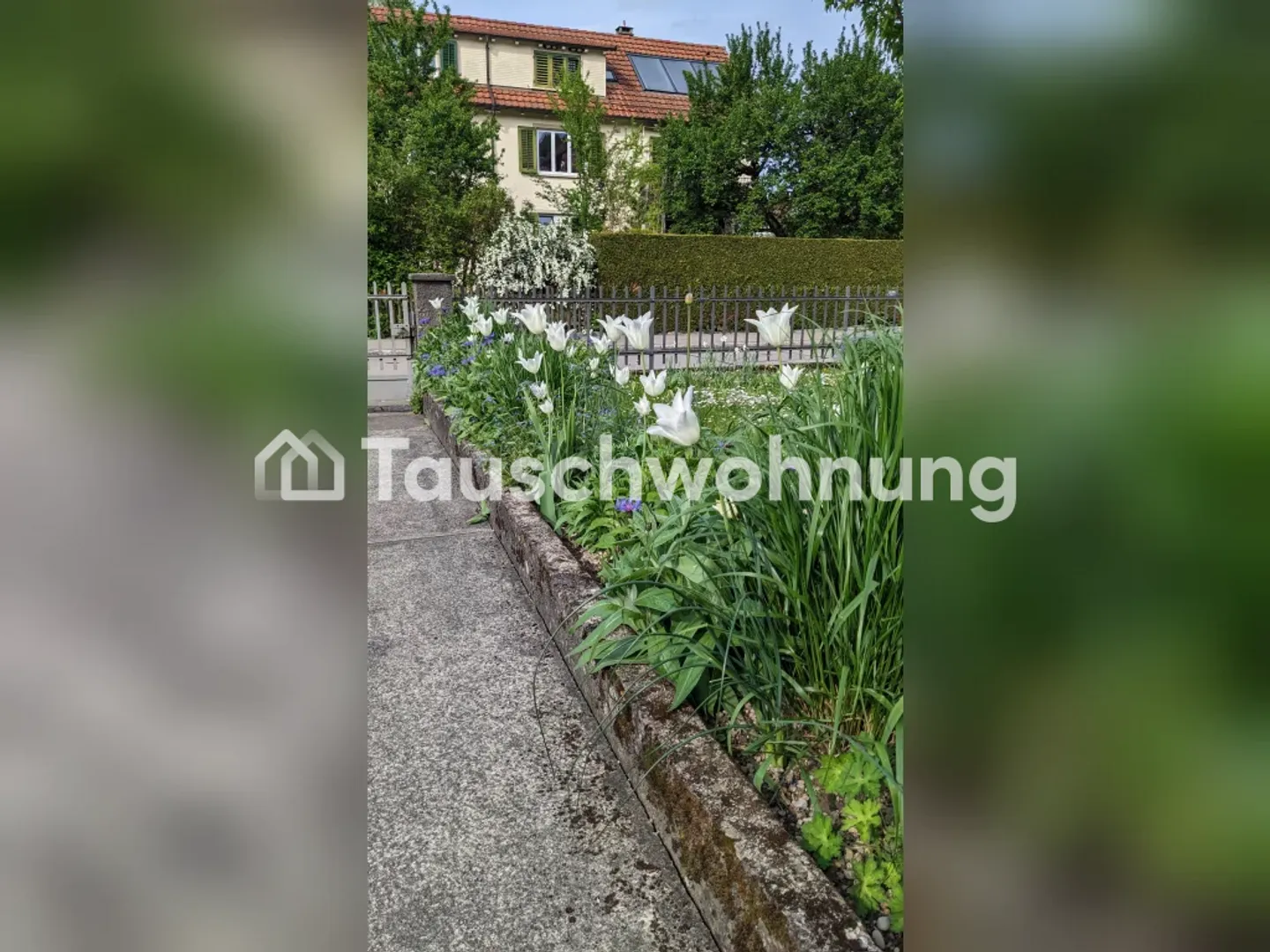 Échange d'un appartement de 3 pièces à Winterthur Veltheim - Photo 11 sur 11