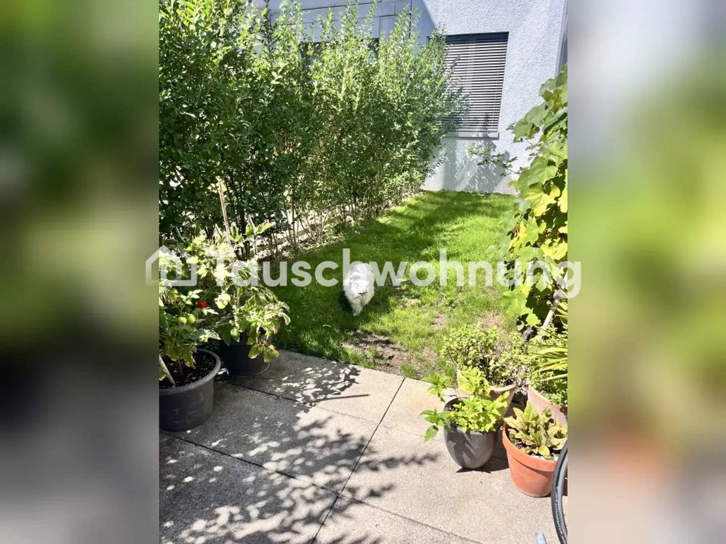 Appartamento con giardino nel quartiere 4 - Foto 11 di 11