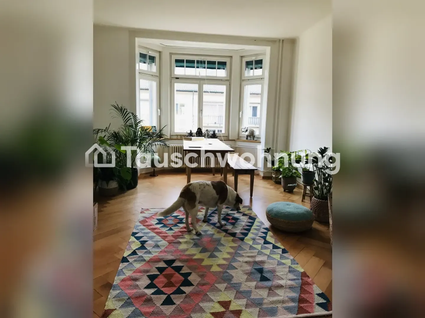 Charmante Altbauwohnung in Zürich - Foto 1 von 3