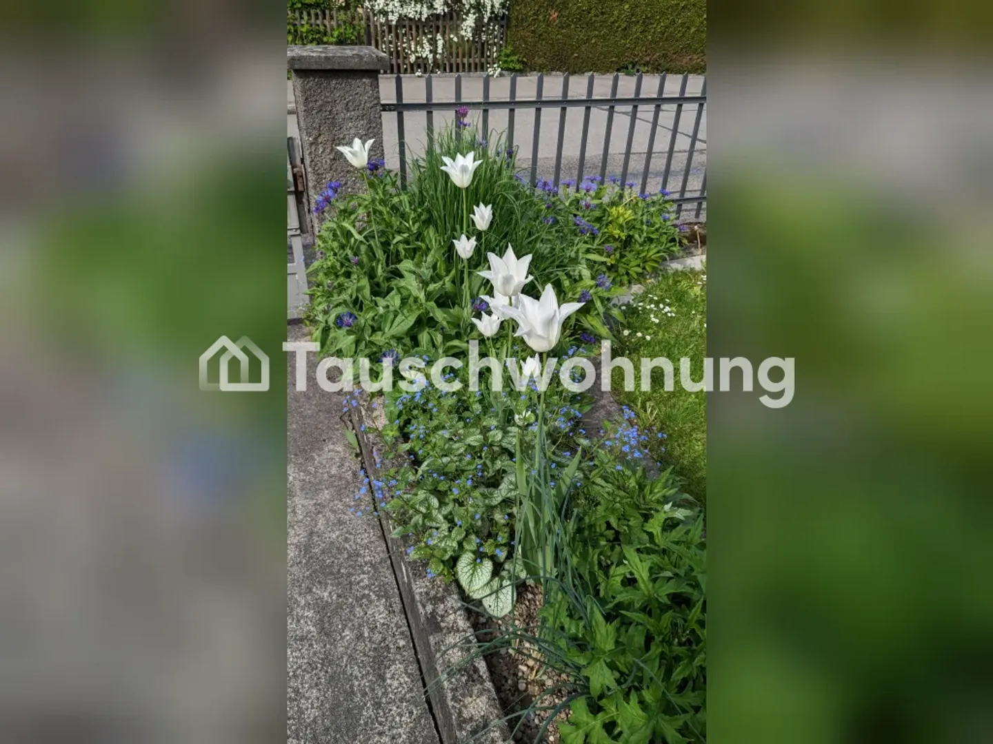 Échange d'un appartement de 3 pièces à Winterthur Veltheim - Photo 10 sur 11