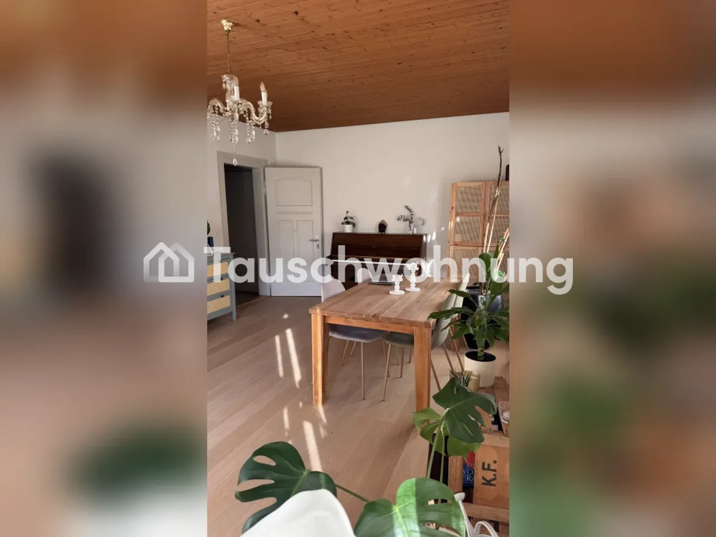 Geräumige Wohnung in Zürich - Foto 5 von 13