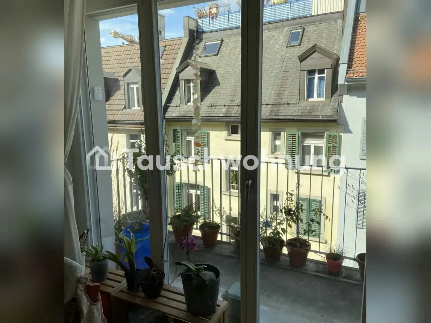 Charmante Wohnung in Wipkingen - Foto 2 von 8