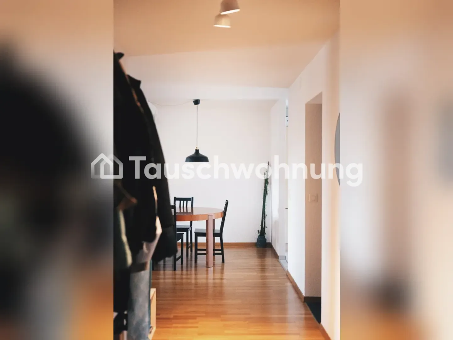 Spacious Apartment in Bern - Photo 4 of 5
