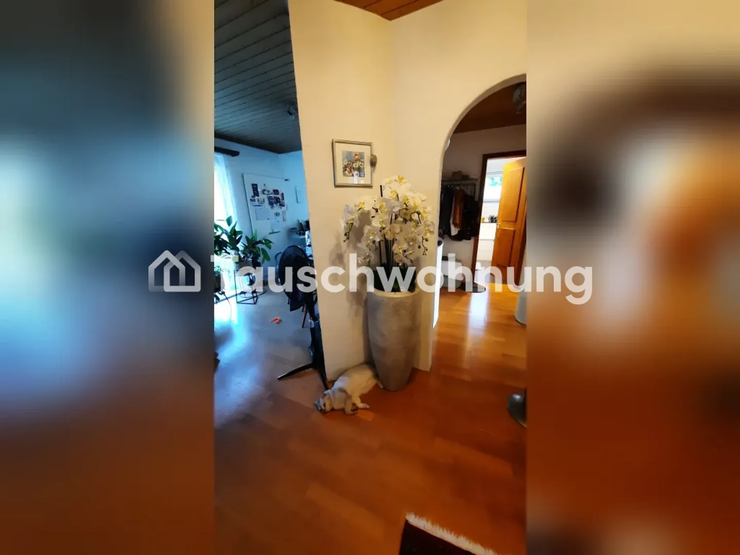Appartamento di 3.5 locali ad Adliswil, 77 m² - Foto 4 di 7