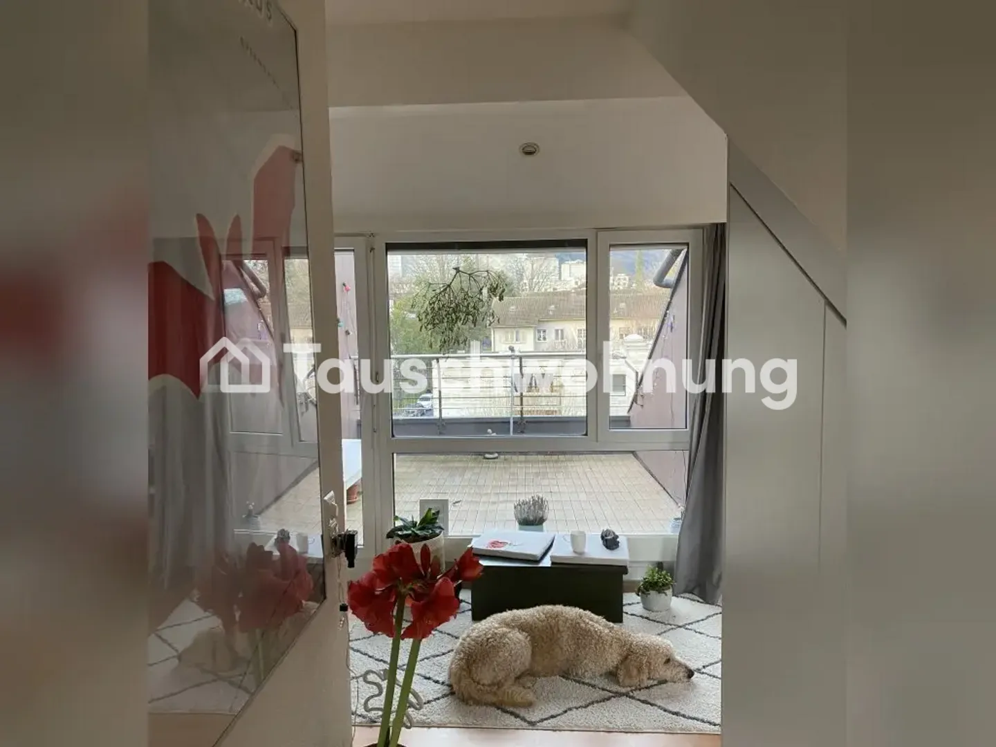 Penthouse with Terrace in District 3 - Photo 7 of 13