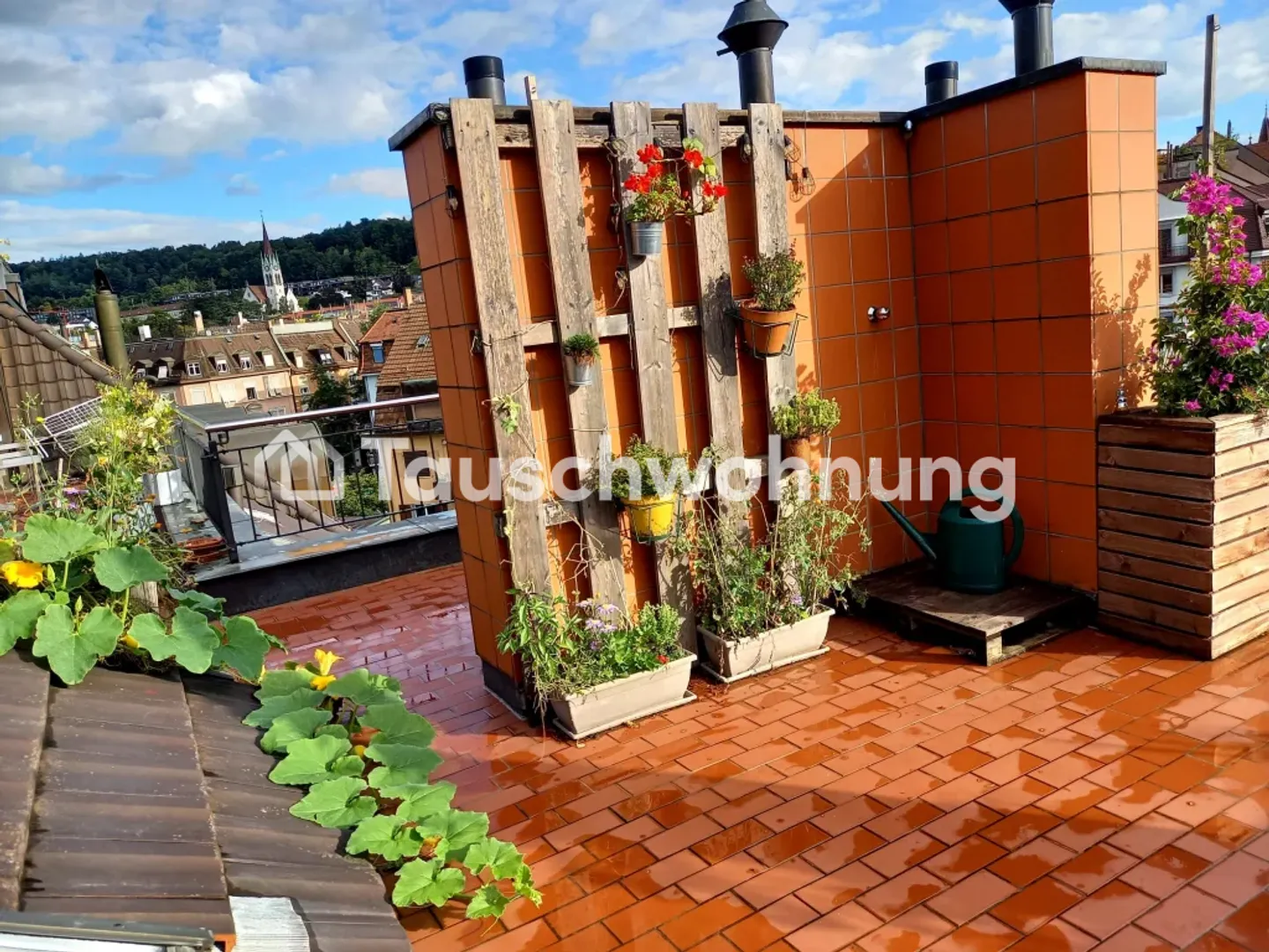 Exchange 2.5-room apartment with rooftop terrace, Zurich Wipkingen - Photo 1 of 6