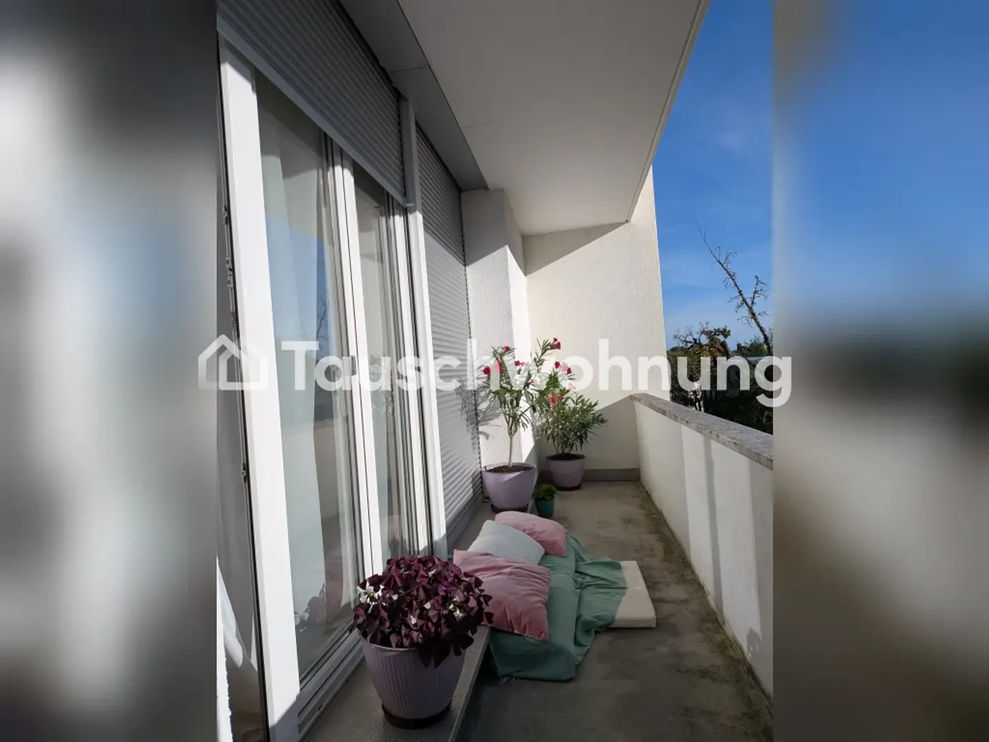 Appartement lumineux 1.5 pièces K2 - Photo 6 sur 6
