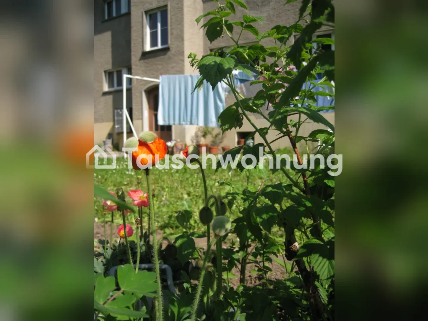 Ab Herbst gemütliche 3-Zimmer Altbauwohnung in Winterthur - Photo 5 of 8