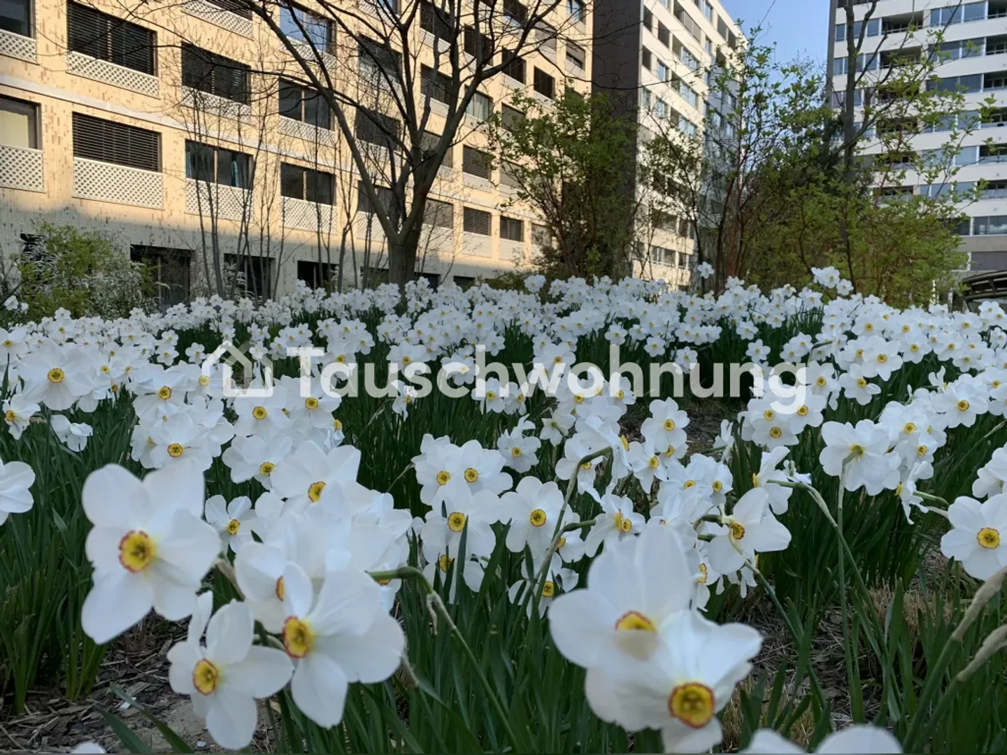 Looking for 2, 3, 3.5 rooms, offering 2.5 rooms Hardbrücke/Primetower - Photo 11 of 13