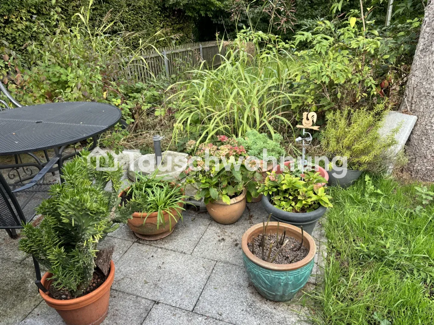 Tausche meine 2.5-Zimmer-Wohnung in Stadel - Foto 2 di 2