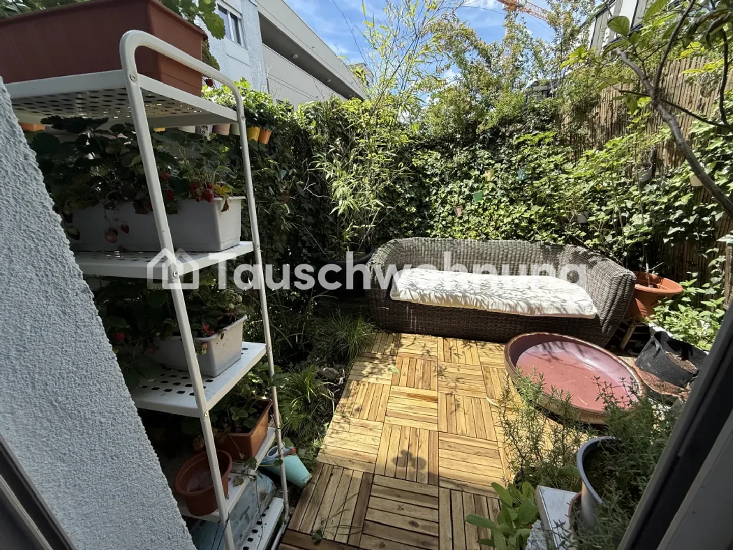 Charmante Wohnung in Zürich - Foto 2 von 6
