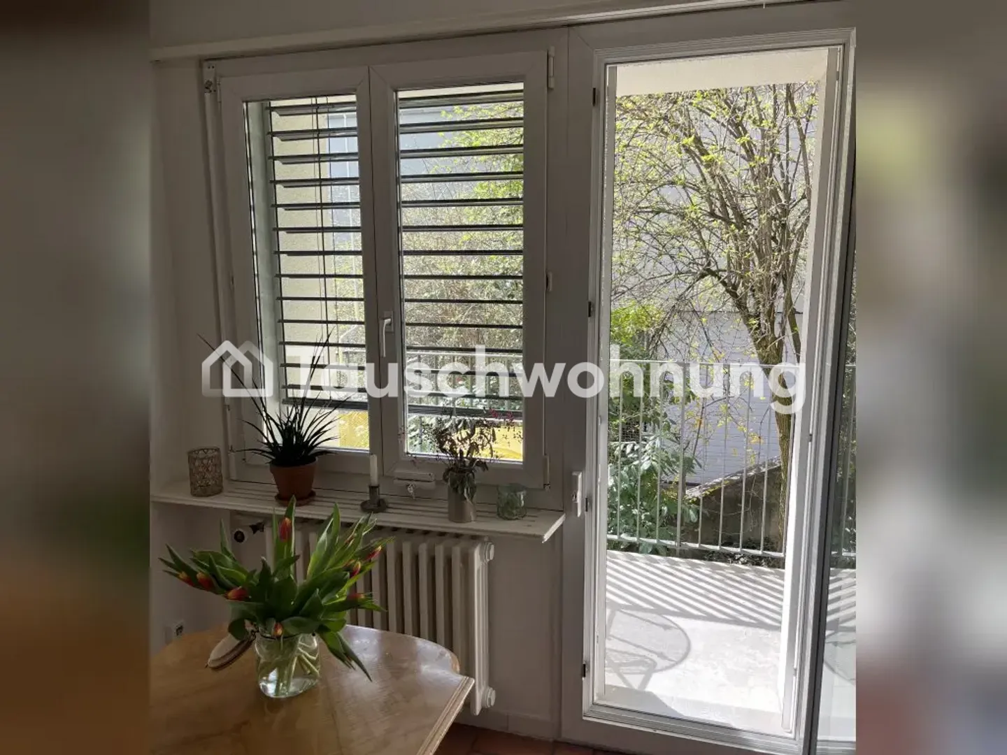 3.5 Z Apartment Wiedikon/Binz - Photo 4 of 8