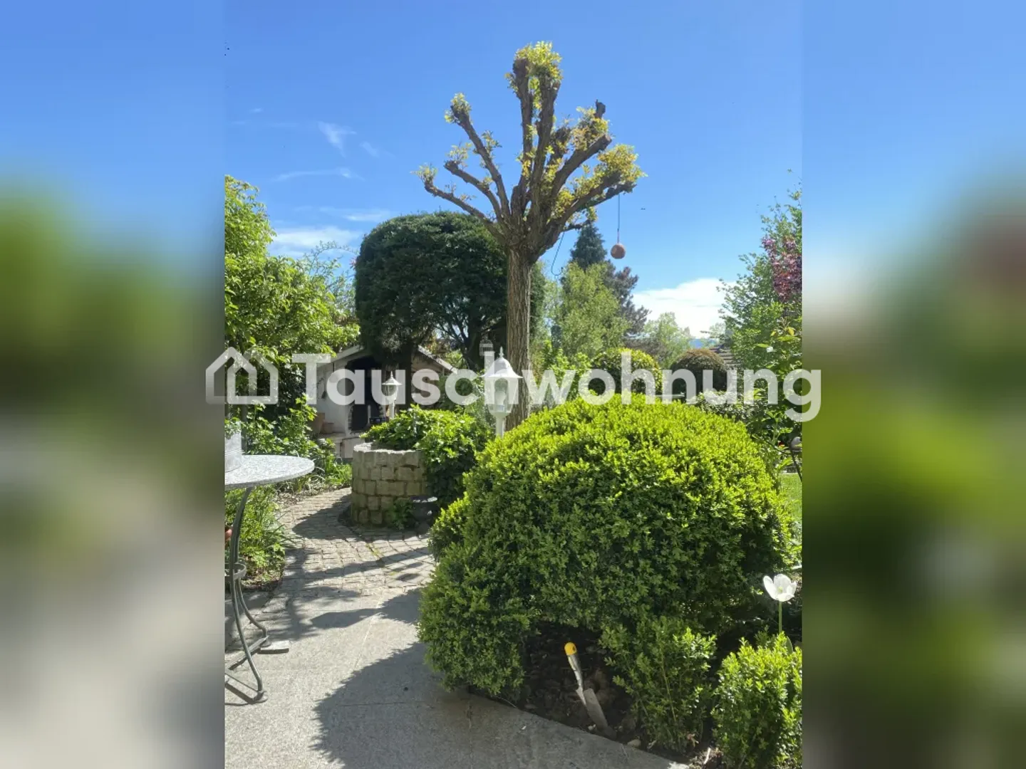 Möchte mich verkleinern Wohnung mit Lift oder Garten - Photo 6 of 6