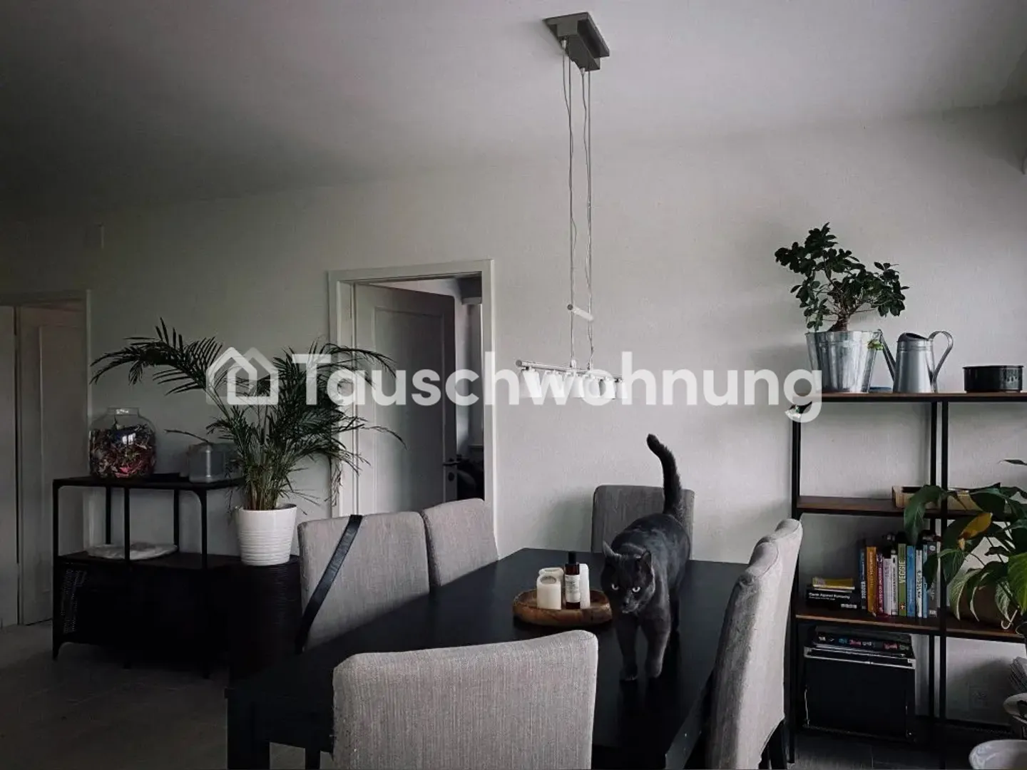 Moderne 3.5-Zimmerwohnung in Zollikerberg - Photo 1 of 6