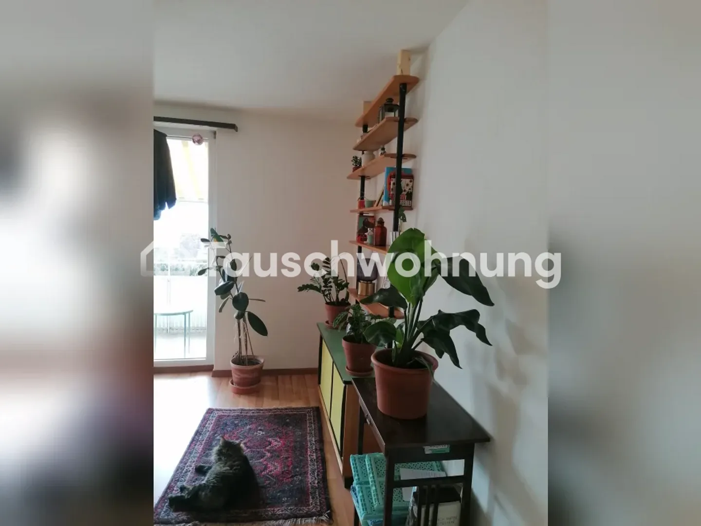 Beautiful 3-room apartment in Zurich, District 10 - Photo 5 of 6
