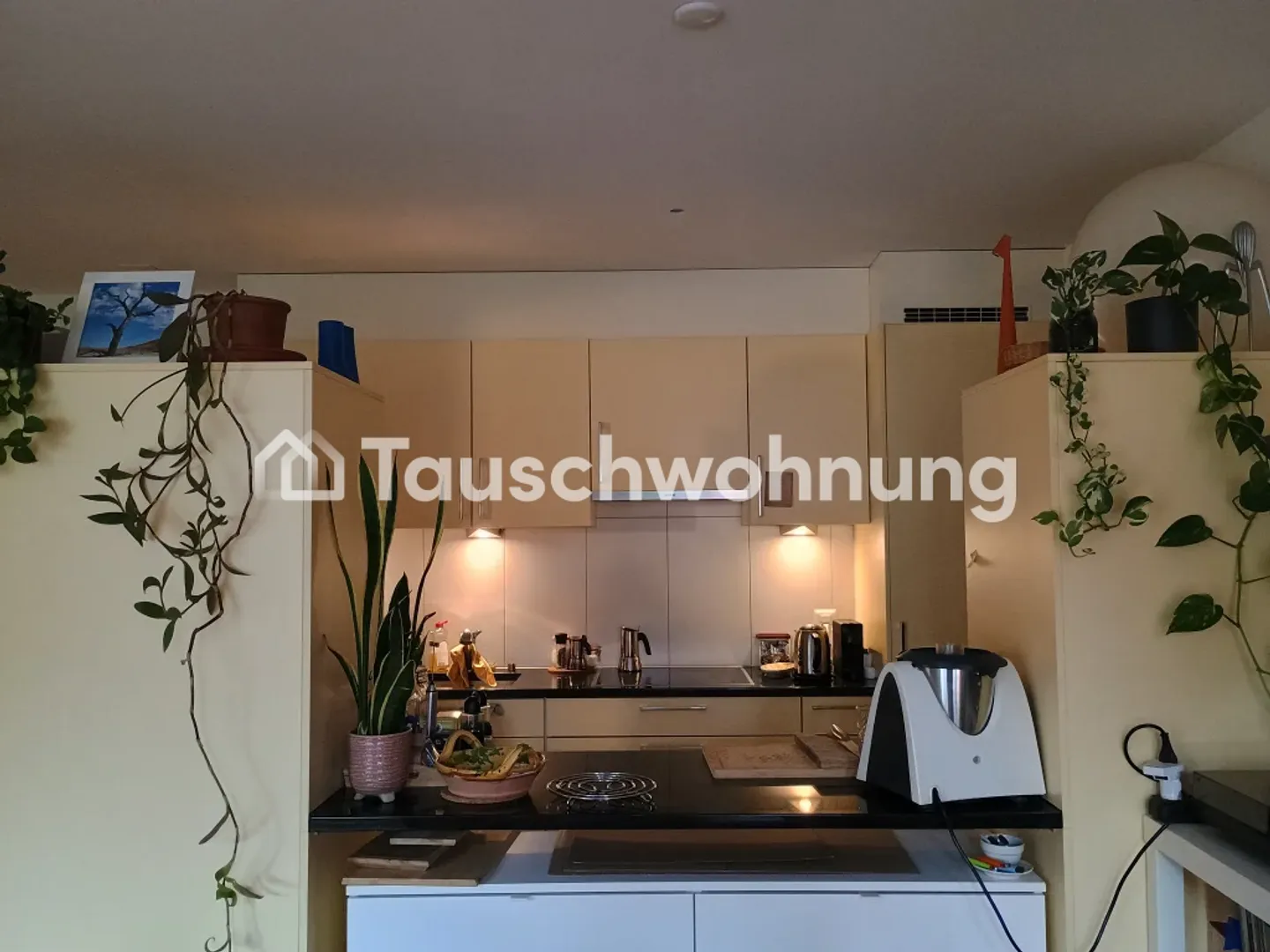 Zurich, District 4: quiet sunny 2-room apartment for exchange - Photo 3 of 9