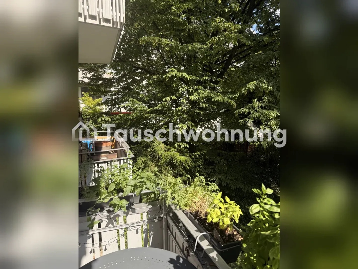 2.5-room apartment with two balconies in a quiet location - Photo 12 of 13