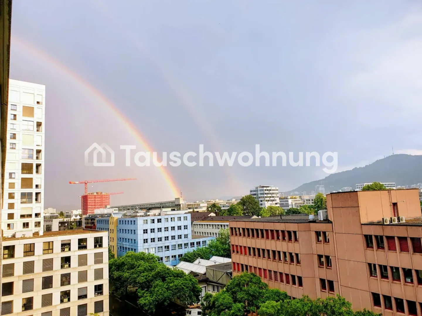 Geräumige 3.5-Zimmer-Wohnung - Foto 12 von 13