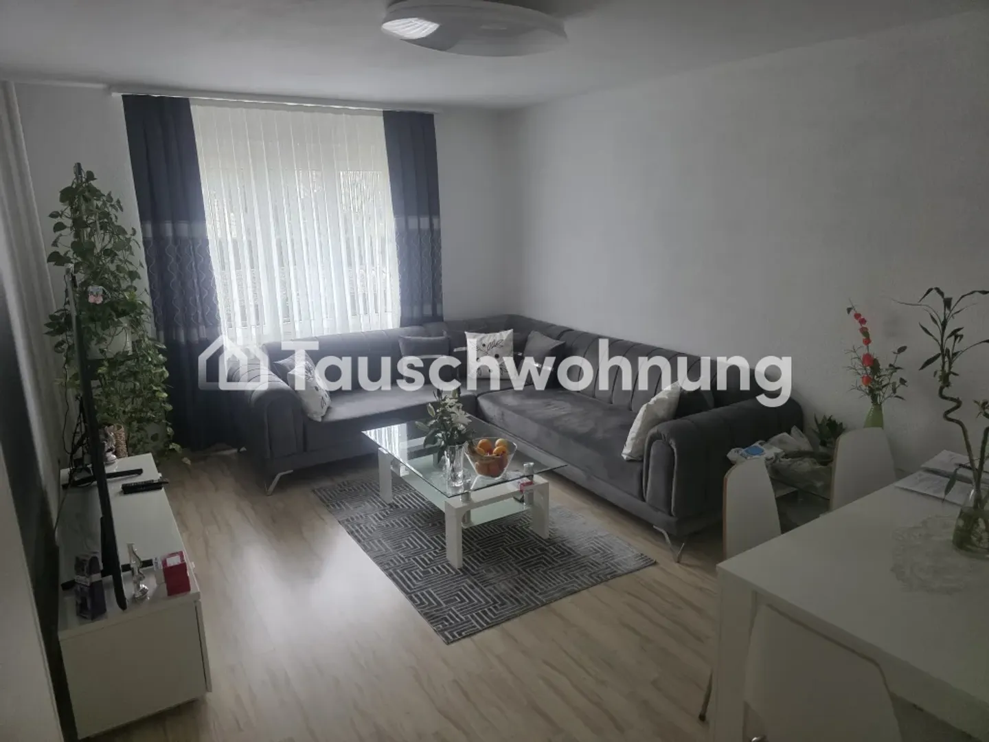 Family Dream in Dietikon - Photo 1 of 5