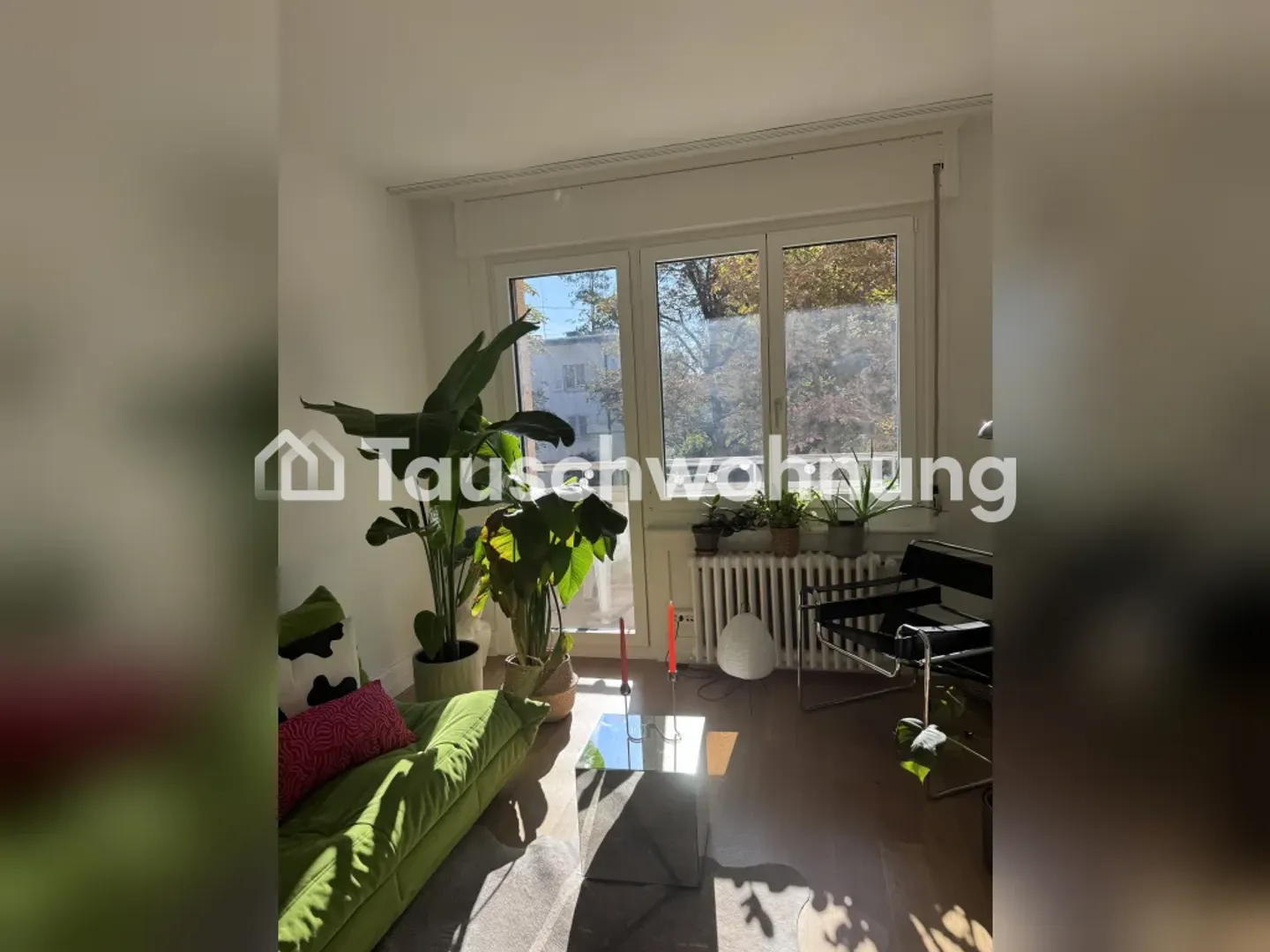 Charmante 2-Zimmer-Wohnung in Zürich - Foto 1 von 8