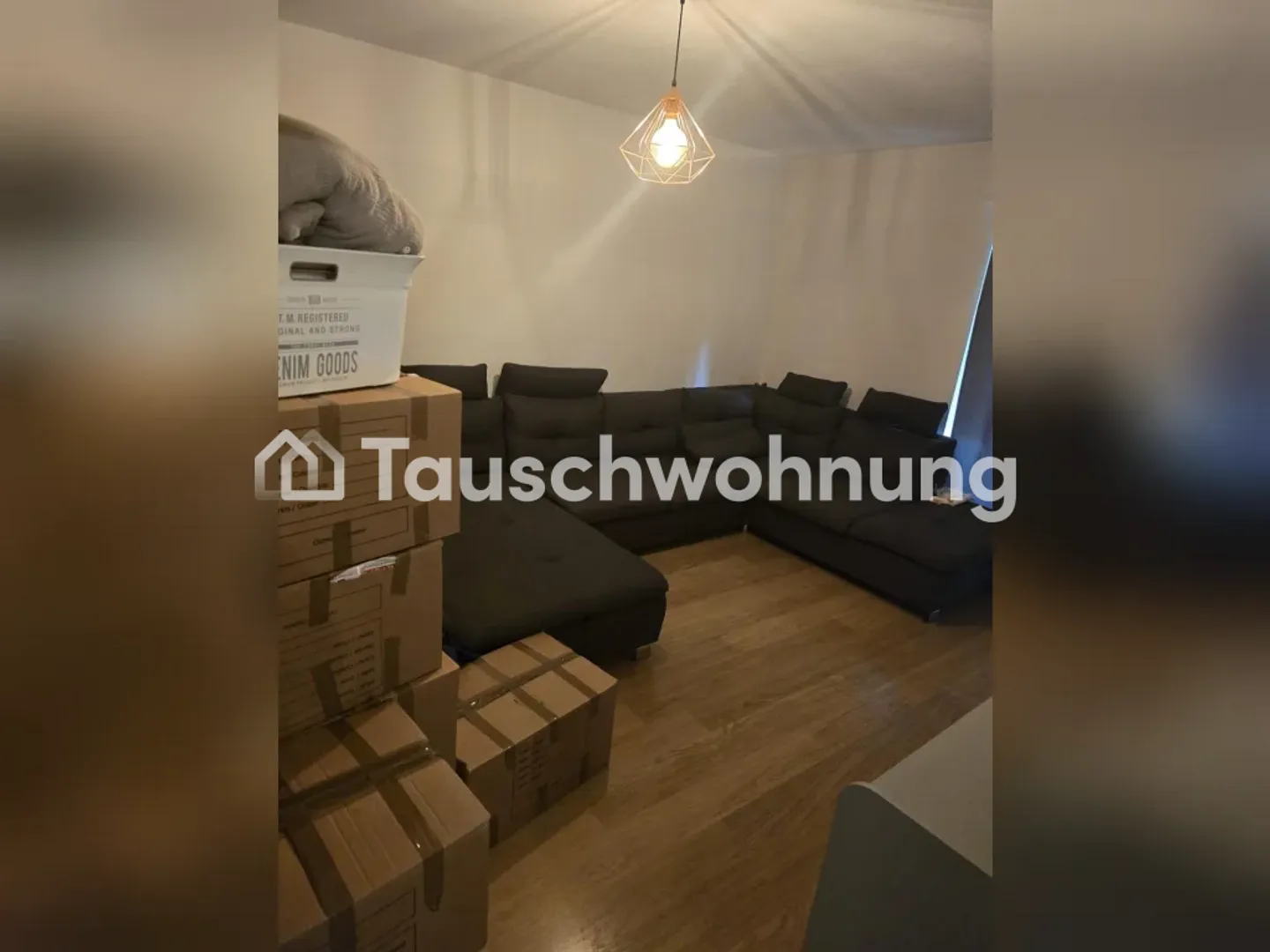 Scambio appartamento di 2 stanze con giardino + garage a Wollishofen - Foto 8 di 9