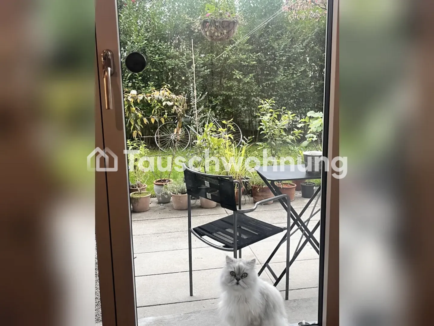 Appartamento con giardino nel quartiere 4 - Foto 4 di 11