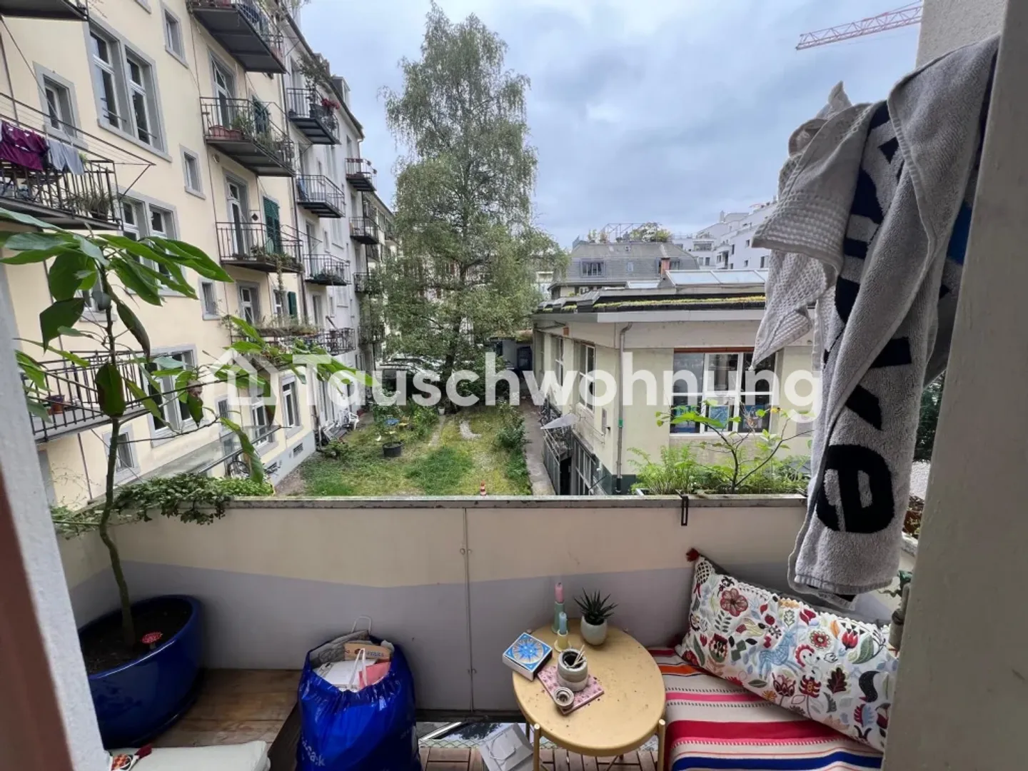 Cerco un appartamento di 4,5 stanze per un massimo di 3000.- - Foto 5 di 13