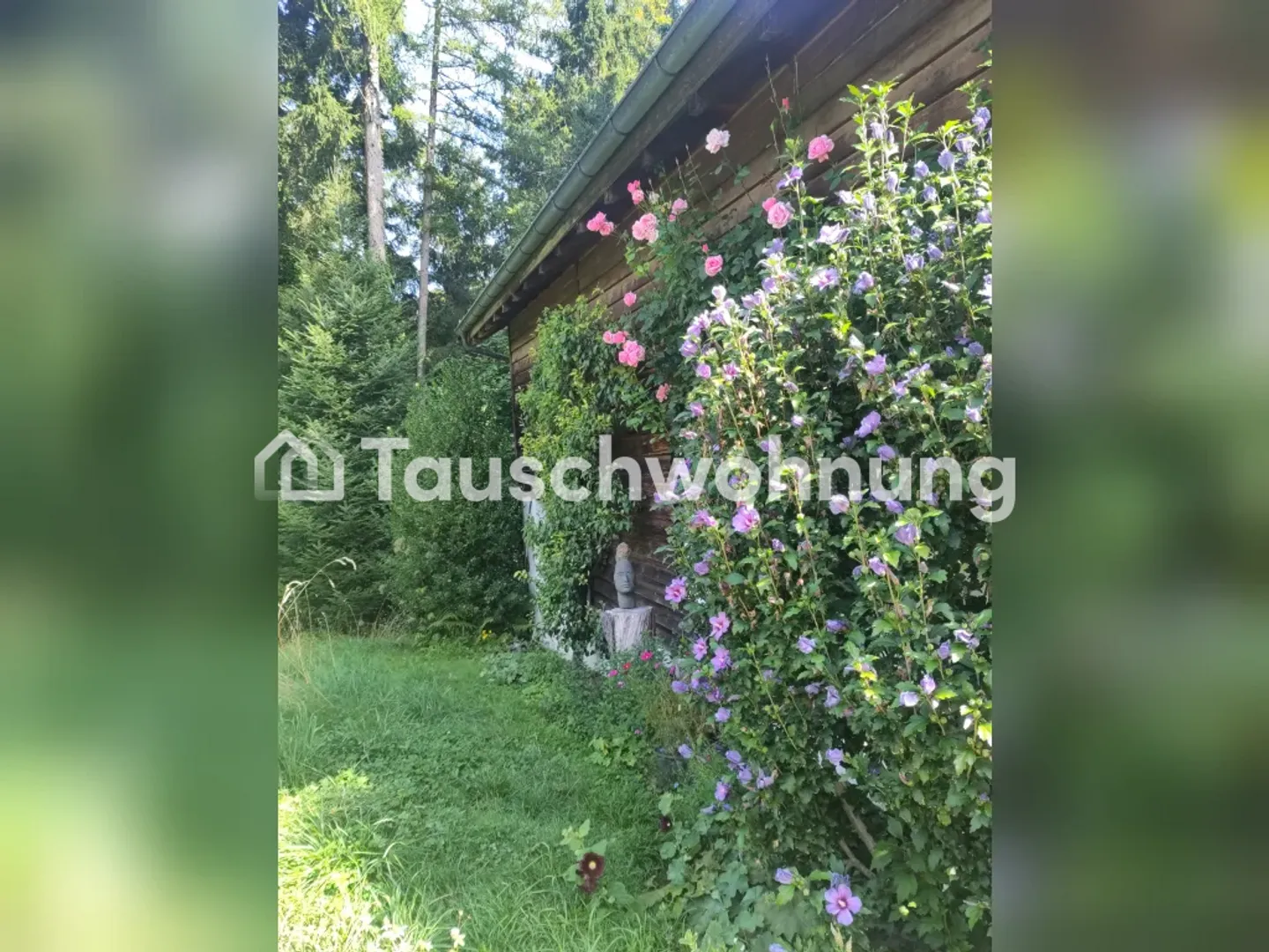 Charmantes Häuschen am Waldrand in Zumikon - Photo 7 sur 7