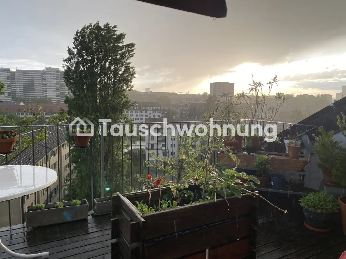 3.5-Zimmer-Wohnung in Birsfelden - Foto 3 von 4
