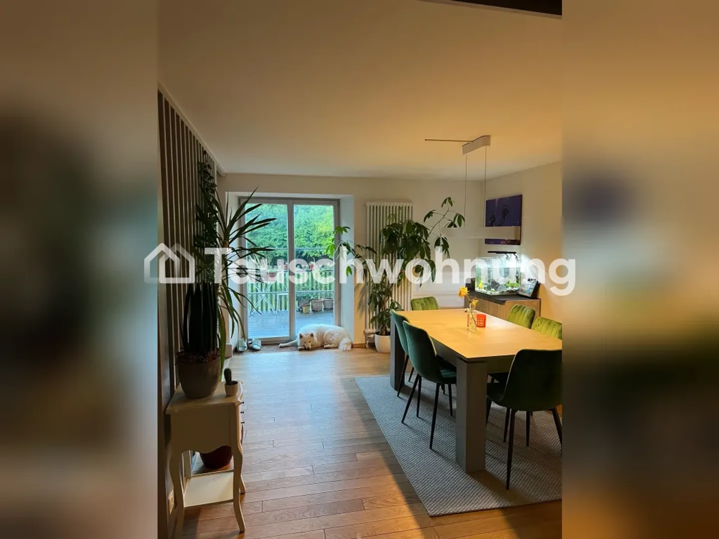 Charmantes Reihenhaus in Dübendorf - Foto 2 von 12