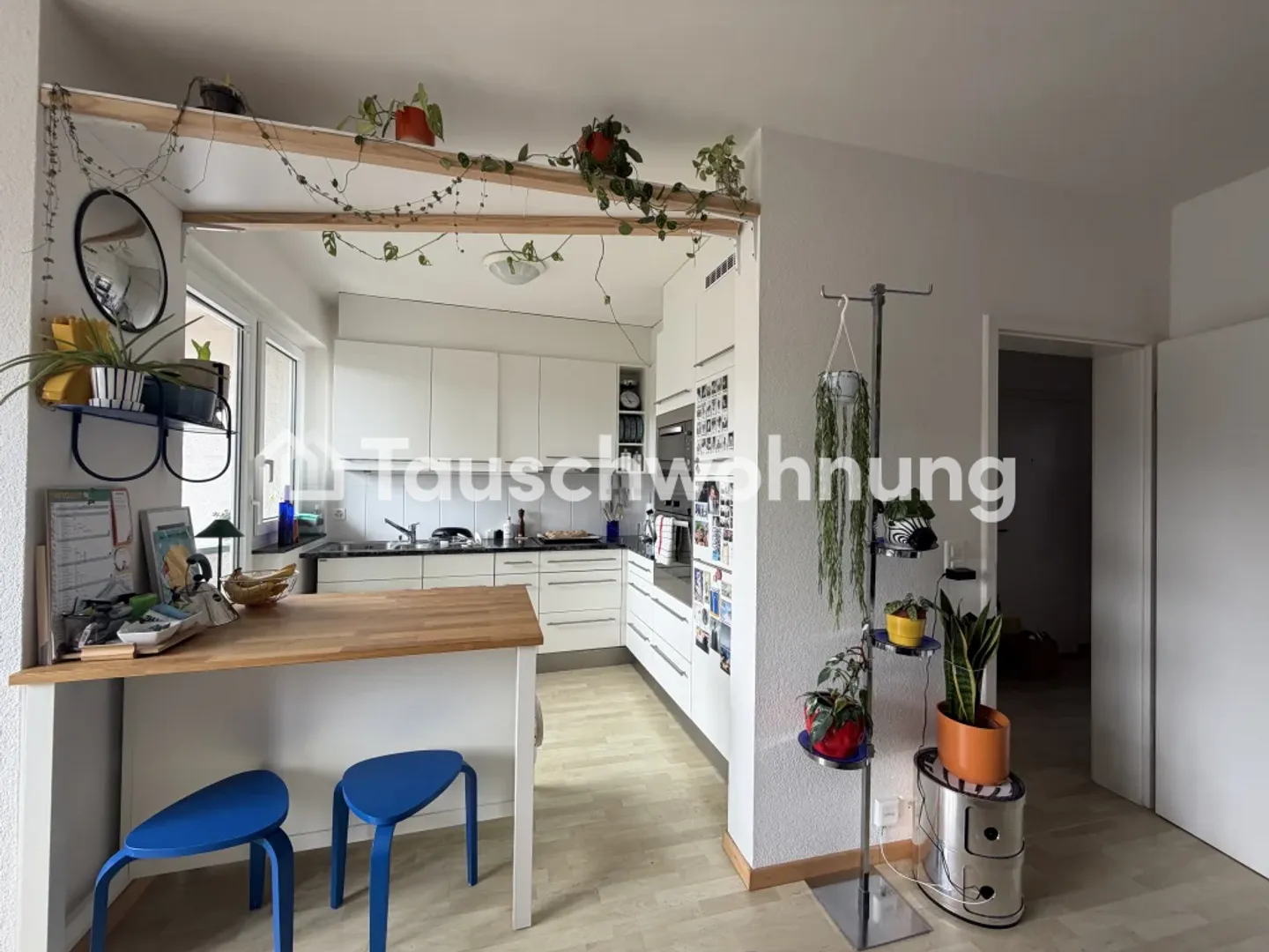 Charmante Wohnung in Zürich - Foto 2 von 6