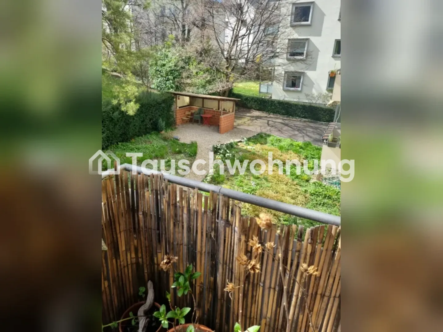 Renovierte Wohnung in Albisrieden - Foto 5 von 9