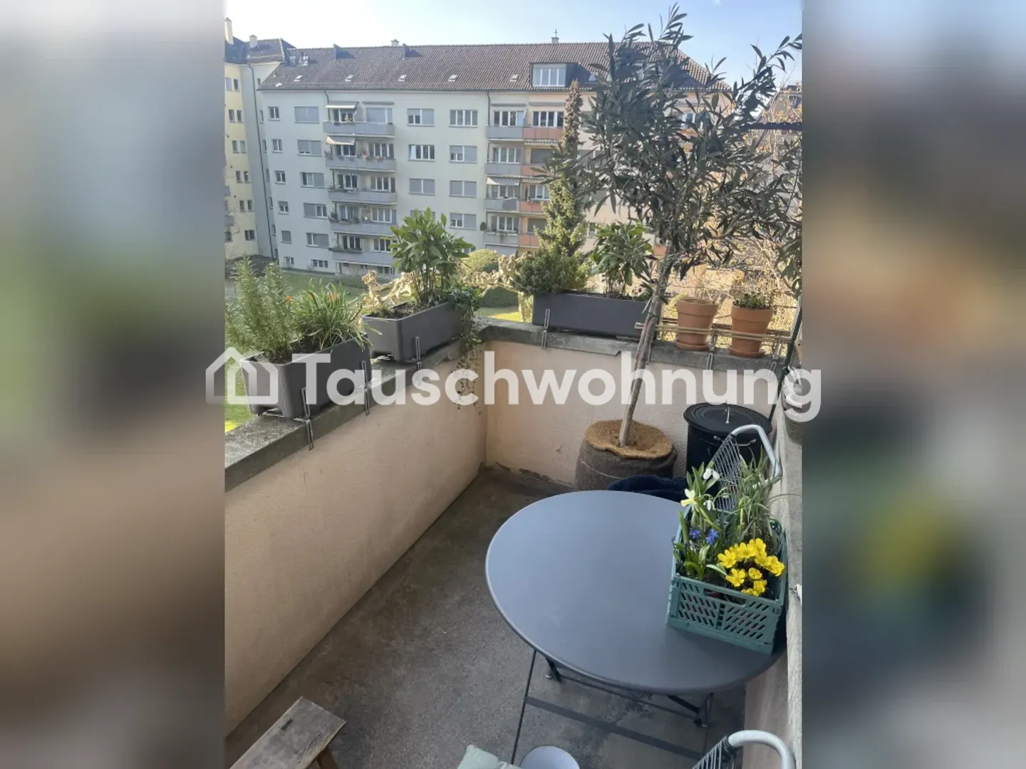 Geräumige 2.5 Zimmer Wohnung - Foto 3 von 7