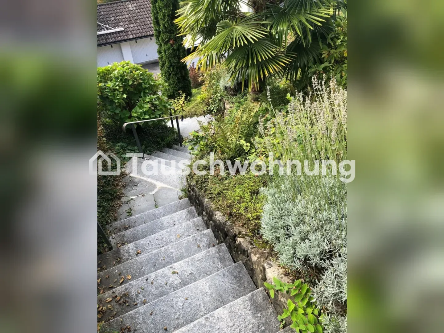 65 m² apartment in Lucerne for exchange - Photo 8 of 8