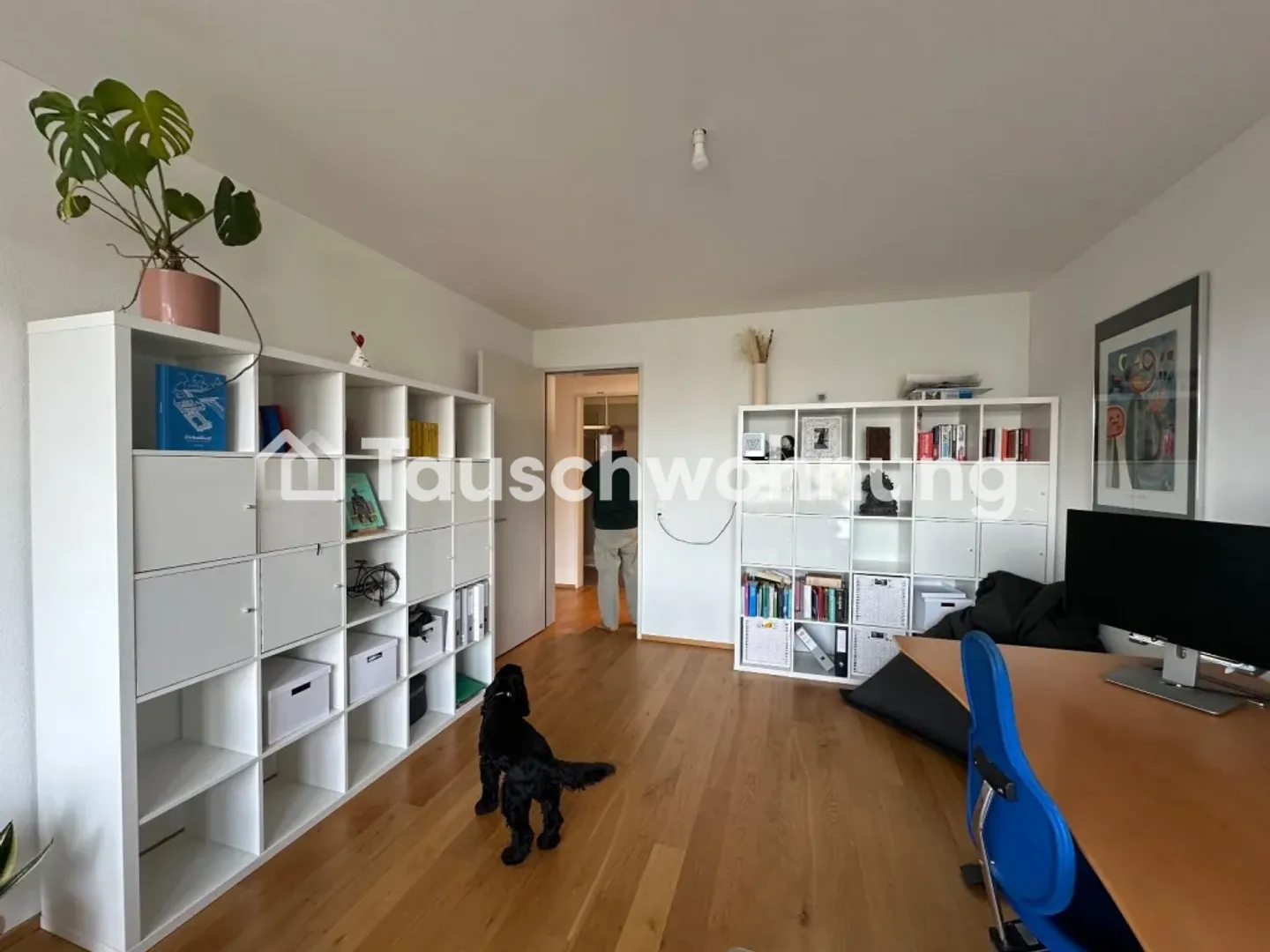 Familienfreundliche Wohnung in Zürich - Foto 2 von 10