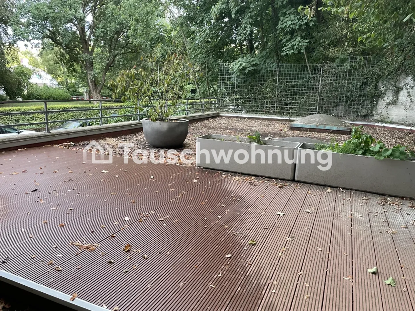 2.5 Zimmerwohnung mit grosser Terrasse im Marzili - Foto 10 von 10